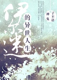（BL/猎人同人）伊尔迷的异世人生