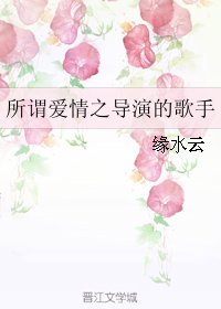 《所谓爱情之导演的歌手》