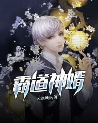 《霸道神婿》
