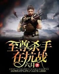 《至尊杀手在抗战》