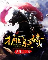 《护国骁骑》