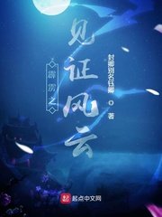 《霹雳之见证风云》