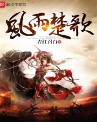 《风雨楚歌》