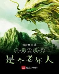 《斗破之我只是个老年人》