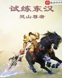 《试练东汉》