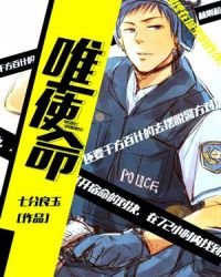 《唯一使命》