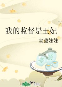 《我的监督是王妃》