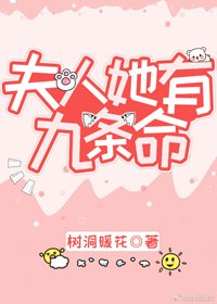 《夫人她有九条命》