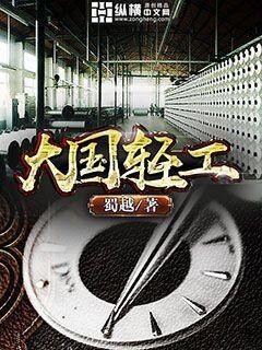 《大国轻工》
