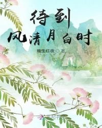 《待到风清月白时》