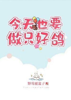 《今天也要做只好鸽》