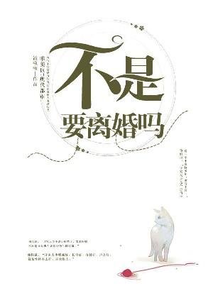 《不是要离婚吗》