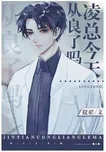《凌总今天从良了吗》
