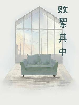 《败絮其中》