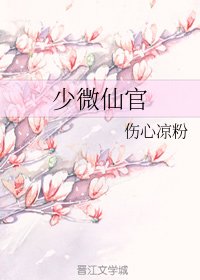 《少微仙官》
