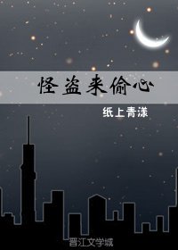 《怪盗来偷心》