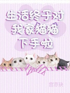 （综同人）[综]生活终于对我家猫猫下手啦