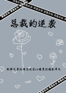 《总裁的逆袭》