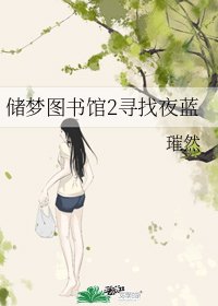 《储梦图书馆2寻找夜蓝》