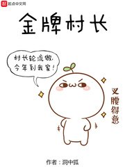 《金牌村长》