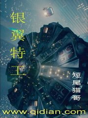 《银翼特工》
