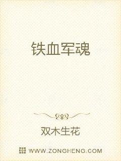 《铁血军魂》