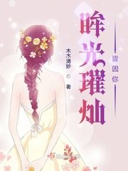 《眸光璀灿皆因你》