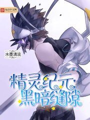 《精灵纪元:黑暗缝隙》