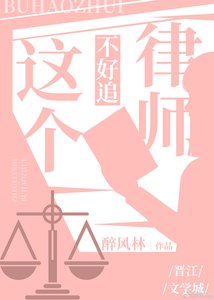 《这个律师不好追(GL)》