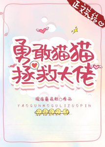 《勇敢猫猫,拯救大佬》