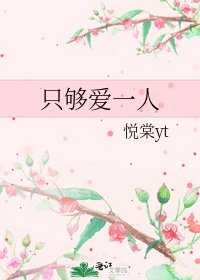 只够爱一人