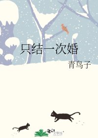 《只结一次婚》