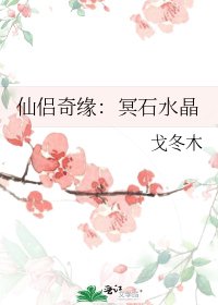 仙侣奇缘：冥石水晶