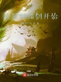 《从流星蝴蝶剑开始》