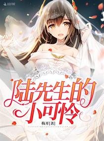 《陆先生的小可怜》