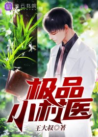《极品小村医》