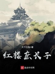 《红楼庶长子》