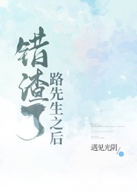 《错渣了路先生之后》