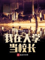 《我在大学当校长》