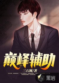 《巅峰辅助》
