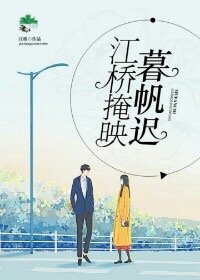 江桥掩映暮帆迟