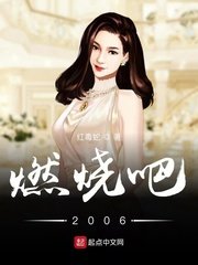 《燃烧吧2006》