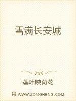 《雪满长安城》