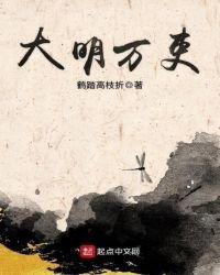 《大明万吏》