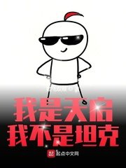《我是天启我不是坦克》