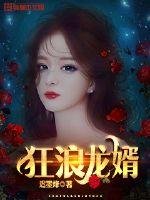 《狂浪龙婿》