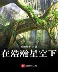 《在浩瀚星空下》