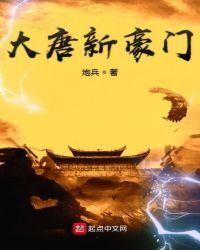 《大唐新豪门》