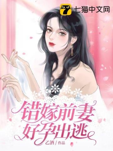 《错嫁前妻好孕出逃》