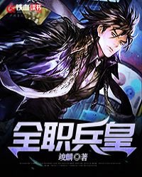 《全职兵皇》